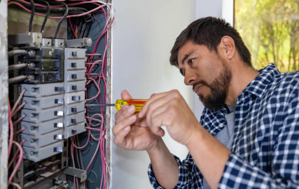 Best Electric Panel Repair  in Posen, IL